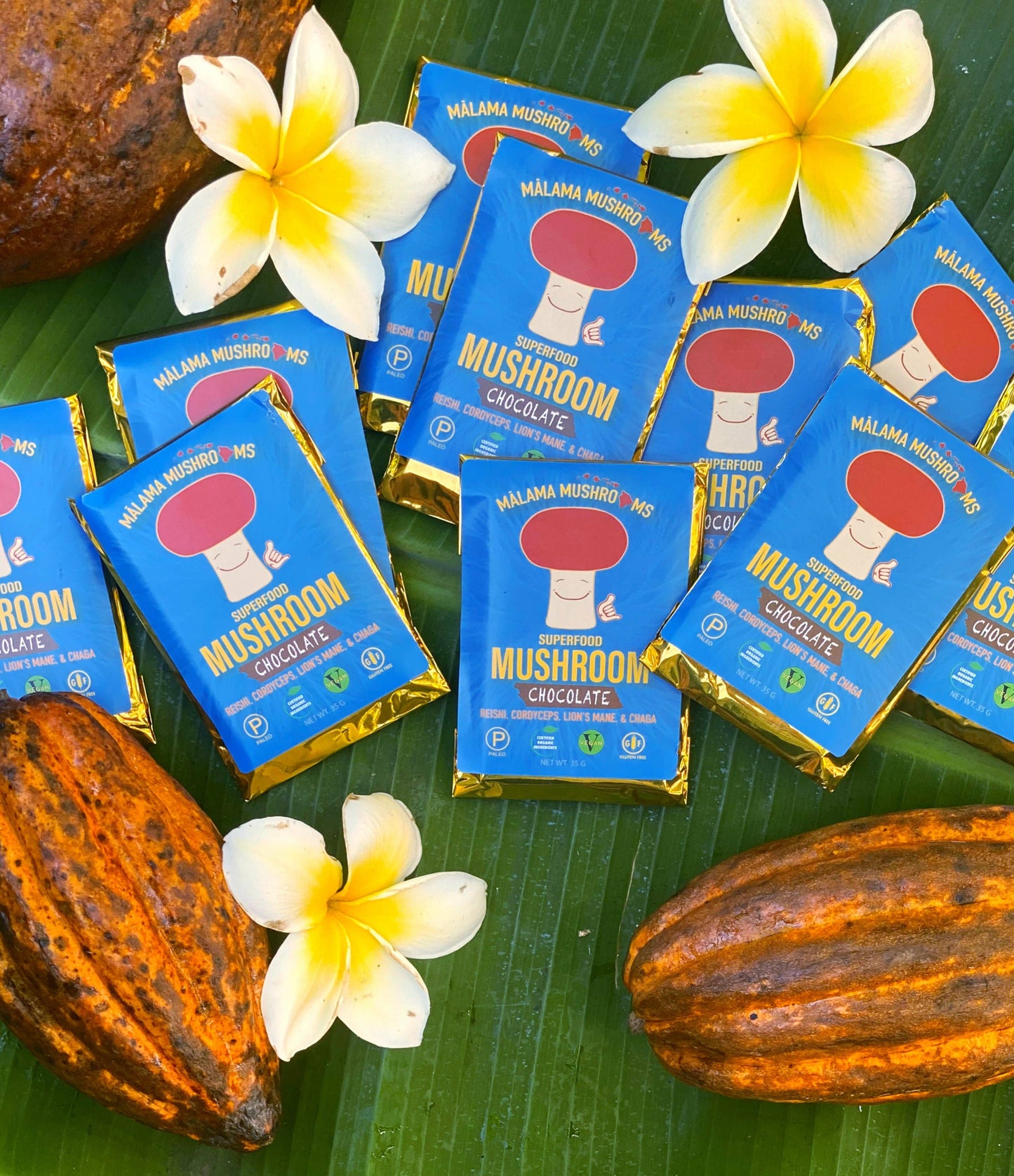 Malama Mushrooms- Superfood Mushroom Chocolate - Original Dark