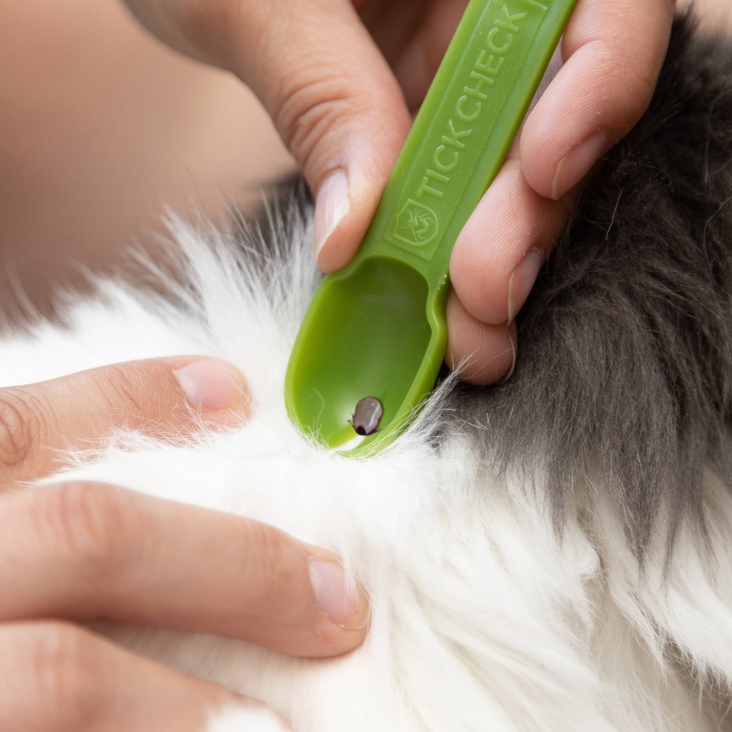 TickCheck Tick Remover Spoon 3 Pack