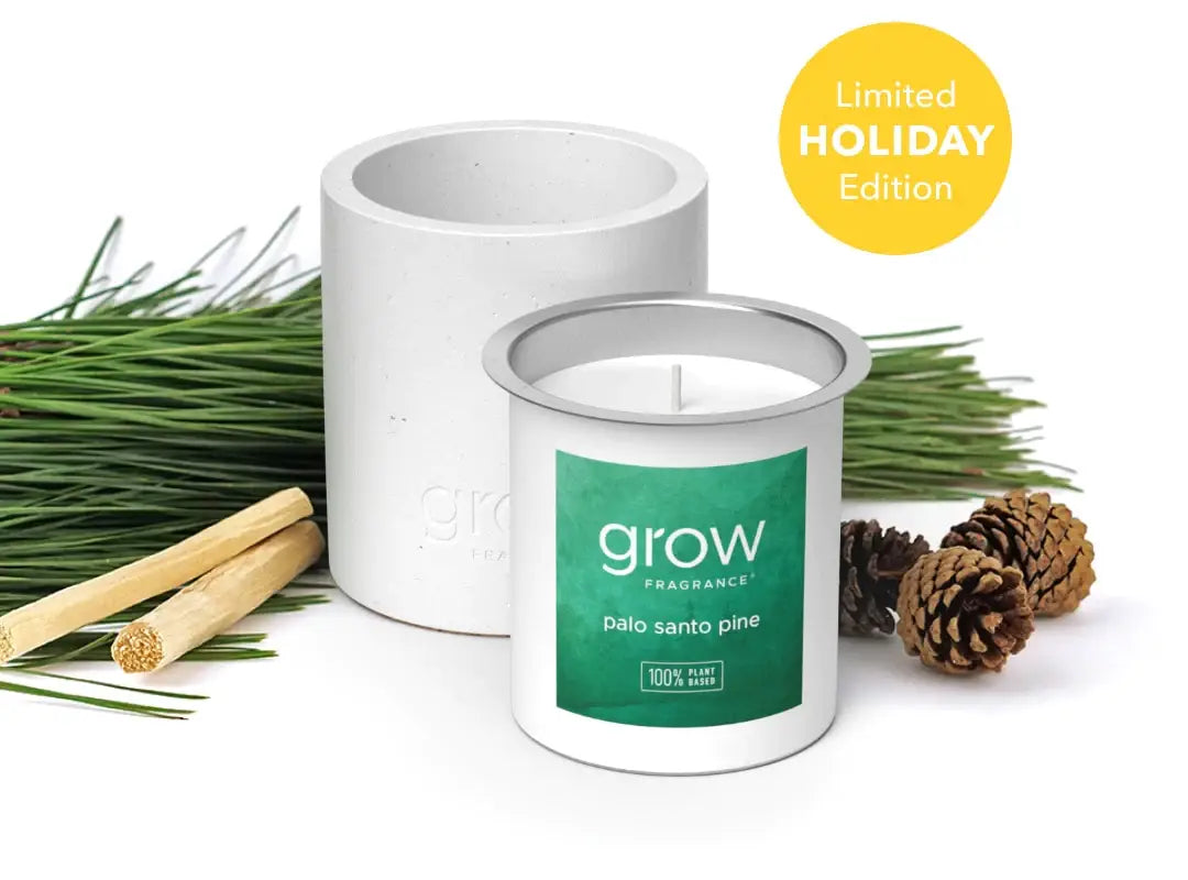 Palo Santo Pine Candle Refill