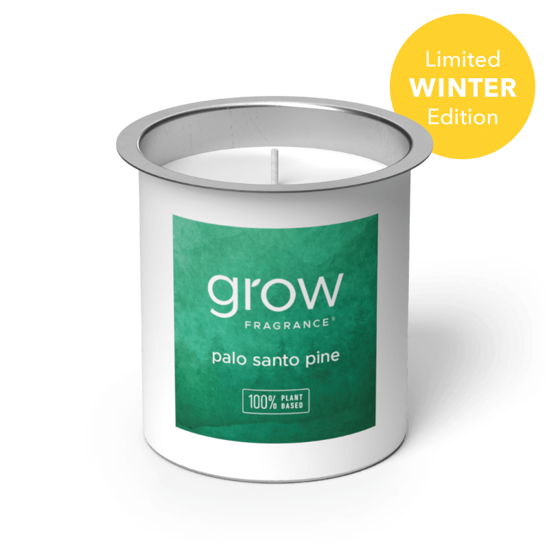Palo Santo Pine Candle Refill